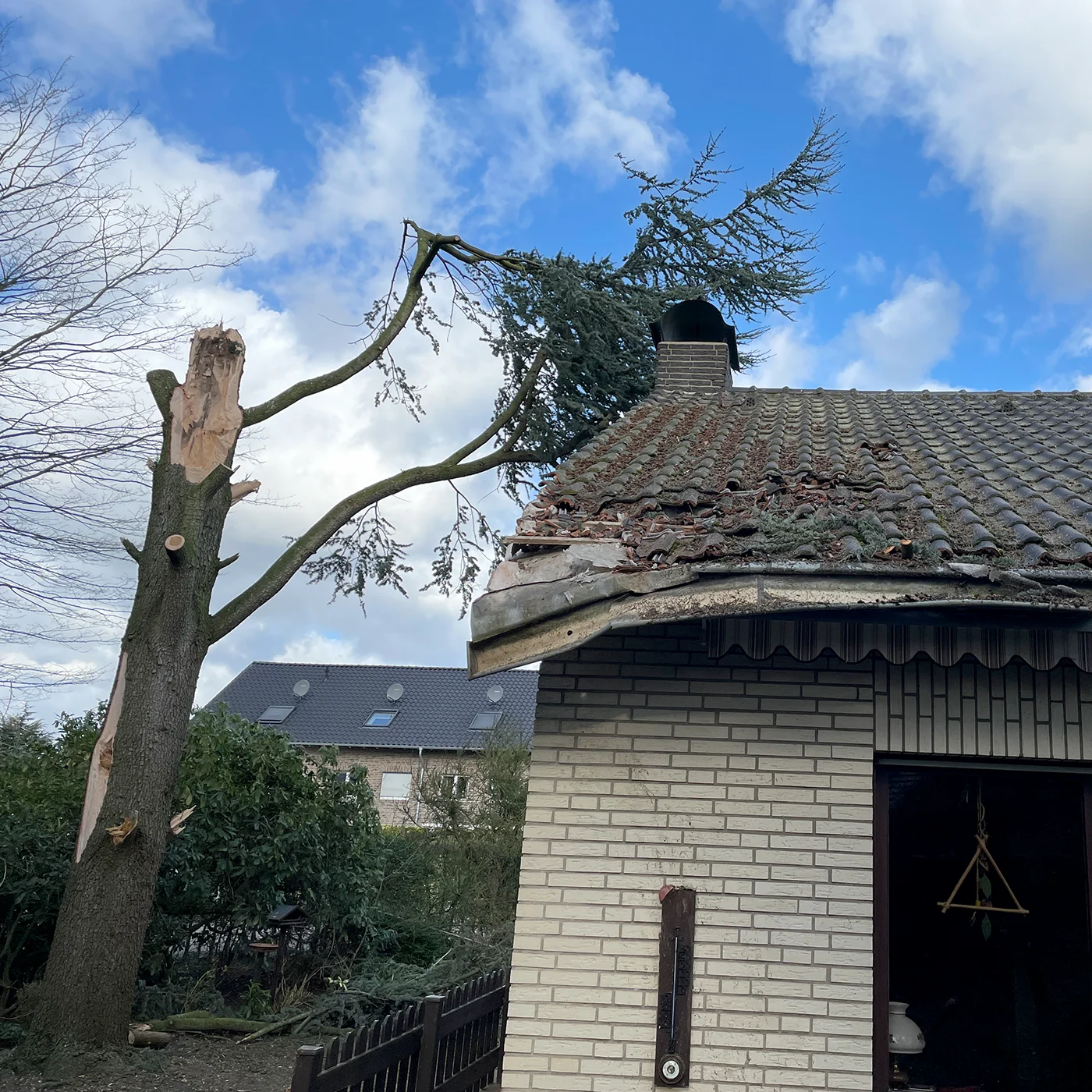 Sturmschaden am Dach durch umgestürzten Baum